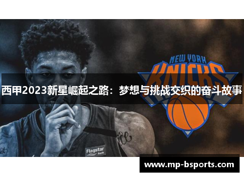 西甲2023新星崛起之路：梦想与挑战交织的奋斗故事