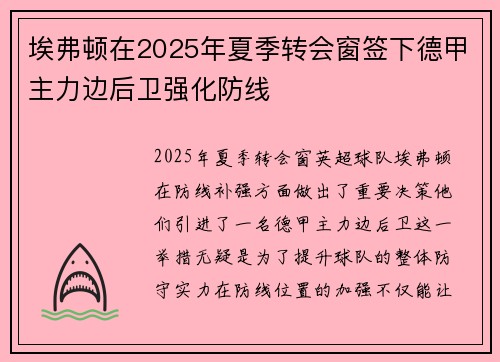 埃弗顿在2025年夏季转会窗签下德甲主力边后卫强化防线
